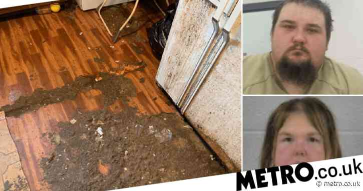 ‘Couple forced two-year-old boy to live in dog feces-covered home’