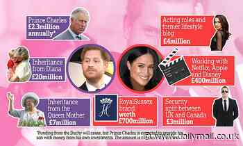 How will Prince Harry and Meghan Markle make their money?