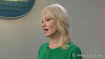 Kellyanne Conway Invokes MLK Jr.'s Name to Blast Trump Impeachment Trial