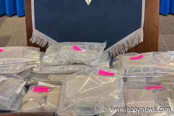 Police seize nearly 50 kilos of drugs in Surrey