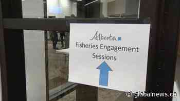 Alberta government seeks feedback on new fishing legislation