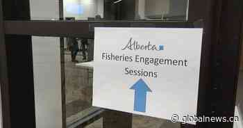 Alberta government seeks feedback in Lethbridge on new fishing legislation
