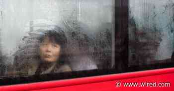 Making Public Transit Fairer to Women Demands Way More Data