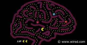 The Tiny Brain Cells That Connect Our Mental and Physical Health