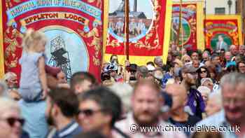 Conservative MPs say they will attend the Durham Miners' Gala despite claims they may be unsafe