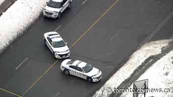 Pedestrian dies after hit-and-run in Brampton