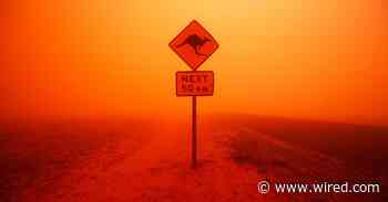 Maps Are Biased Against Animals