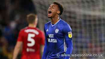 Neil Harris' favourite Cardiff City players, the outcasts and the stars with a big point to prove