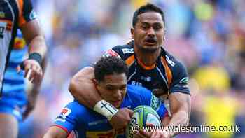 Rugby bosses forced to clarify new law trial after Super Rugby coach admits he knew nothing about it