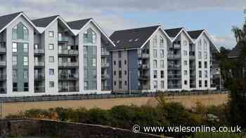 Families find it impossible to rent in Swansea as homes are snapped up the moment they are on the market