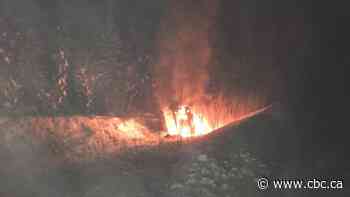 Trucker recounts finding frigid Yukon travellers burning vehicle to stay warm