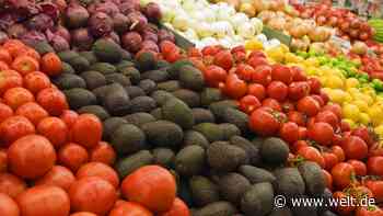 Im Onlinehandel wächst kein Bereich stärker als Lebensmittel