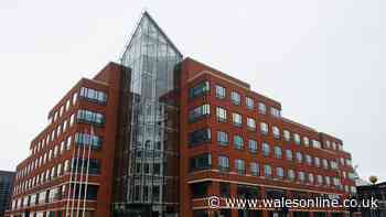 Call for more AMs as politicians have 'remarkable workload'