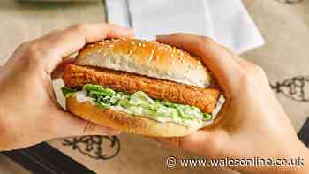 KFC is selling vegan burgers for less than £2 for one day only
