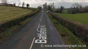 Investigation after cattle rustling at Armagh farm