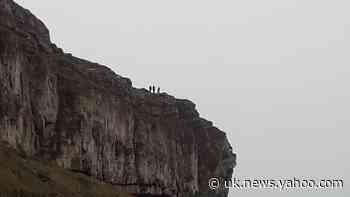 Sheep hauled up 100ft cliff after getting trapped ‘while running from dog’