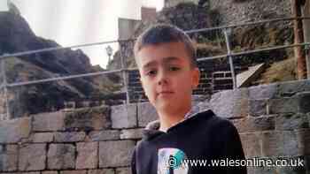 Police searching for missing 10-year-old boy from Llanelli