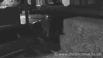 Police release CCTV of man they want to trace after car damaged in North Shields