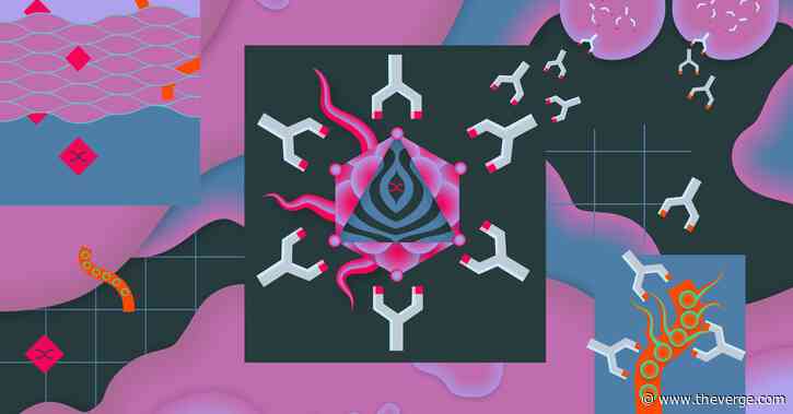 The US has its first case of the new Wuhan coronavirus