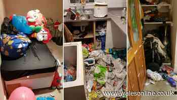 The disgusting mess left behind at a rented house in Bridgend