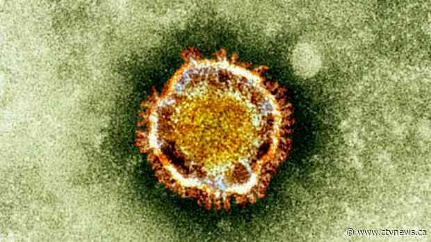 First coronavirus case confirmed in United States