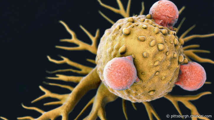 Accidental Discovery Raises Prospect Of ‘One-Size-Fits-All’ Cancer Treatment