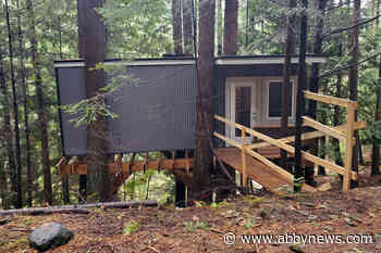 ‘Epic sky palace’: B.C. businesses help create dream treehouse for boy recovering from cancer