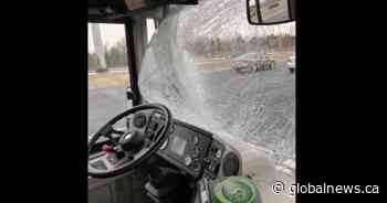Ice flies off truck, smashes GO bus windshield on Highway 401