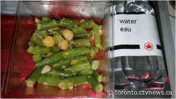 Man furious with Air Canada after wife finds rock in meal served on flight