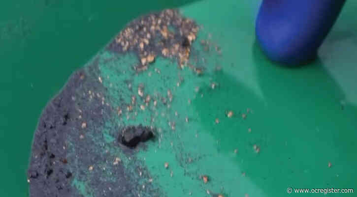 How California’s gold is still being found long after the 49ers stopped digging