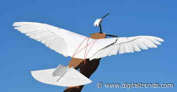 PigeonBot is a drone that flies with feathered wings, just like a real bird