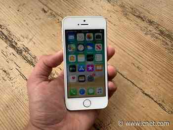 New low-cost iPhone reportedly going into production in February     - CNET