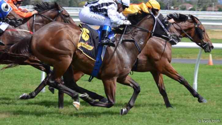 Several racehorse deaths at  track in Louisiana spark concern