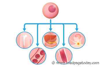 Gains in Stem Cell Transplant Mortality Over Last 25 Years