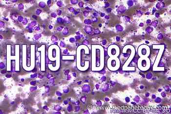 Engineering CAR T Cells to Eliminate Problems