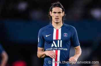 Why Chelsea Need To Sign Cavani This Month 