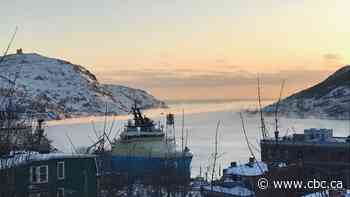 'We're getting there': St. John's making headway in post-storm recovery