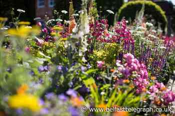 Five Northern Ireland finalists announced for RHS Britain in Bloom 2020