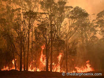 Letter of the Day: Fires show need for climate action