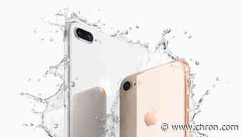 New low-cost iPhone to enter mass production in February