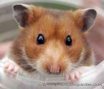 HMRC reveals best excusing for failing to do self-assessment tax returns