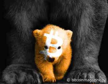 Bitcoin (BTC) update: Gaat de koers dippen naar $7.400 vóór nieuwe bull run?