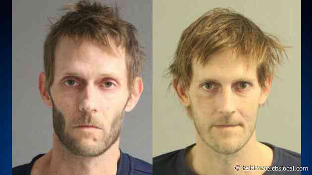 Twin Brothers Allegedly Posed As Painters, Stole From Homes Around Annapolis
