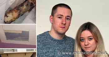 Man and eight-month pregnant partner share two-year Newcastle housing horror