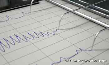 Government terror adviser criticises lie-detector plans