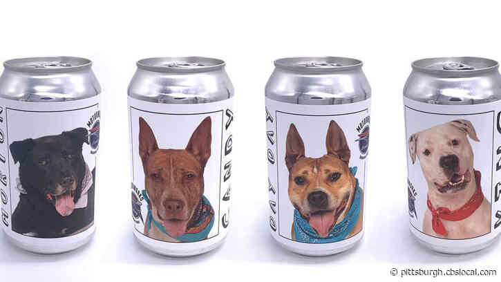 Furry Tails: Dog On A Beer Can