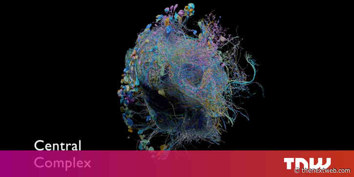 Scientists working with Google just published the most detailed brain scans ever created