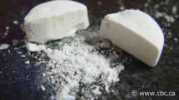 2 Toronto pharmacists charged in York Region opioid bust