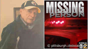 Officials Searching For Missing David Stelter