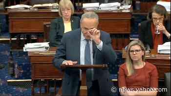 Schumer: A John Bolton for Hunter Biden witness trade 'off the table' – live impeachment trial updates